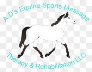 Ad's Equine Sports Massage, Therapy And Rehabilitation, - Mustang Horse Coloring Pages - Transparent PNG Free Download