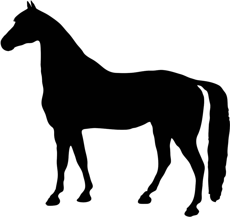 Black Horse Silhouette Clipart - Horse Silhouette Clip Art Free - Transparent PNG Free Download