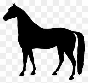 Black Horse Silhouette Clipart - Horse Silhouette Clip Art Free - Transparent PNG Free Download