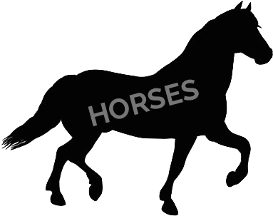 Horse - Horse Clip Art Silhouette - Transparent PNG Free Download