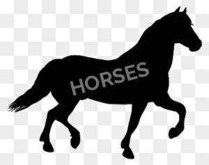 Horse - Horse Clip Art Silhouette - Transparent PNG Free Download