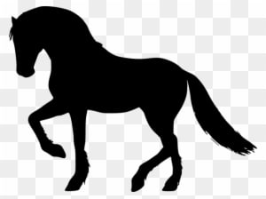 Silhouette, Horse, Gallop, Equestrian, Animal, Omnivore - Animal Graphic Designs Of Horses - Transparent PNG Free Download