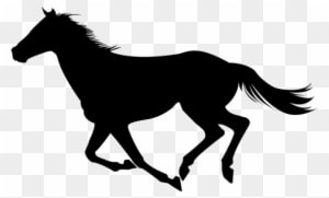 Horse-1 - Tranperant Horse - Transparent PNG Free Download