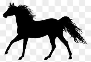 The Horse, Konik, Galop, Jump, Animal - Stencil Of A Horse - Transparent PNG Free Download