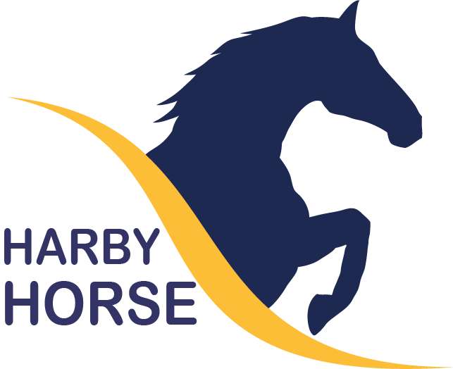 Harby The Horse - Horses Of Lost Valley - Transparent PNG Free Download