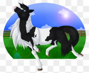 Silly Horse - Horse - Transparent PNG Free Download