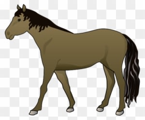 Equus Ferus Caballus - Horse Illustration - Transparent PNG Free Download