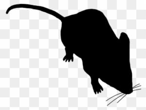 Little Mouse Sniffing Around - Mouse Silhouettes - Transparent PNG Free Download