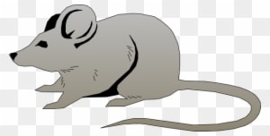 Mouse Clip Art At Clker Com Vector Online Royalty Free - Mouse Vector - Transparent PNG Free Download