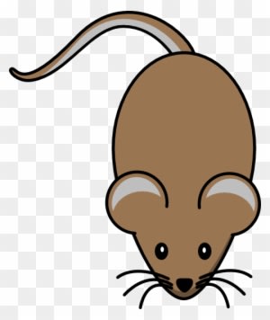 Brown Mouse Clip Art - Mouse Clip Art - Transparent PNG Free Download
