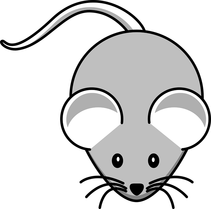 Whiskers Clipart Mouse Animal - Mouse Clipart - Transparent PNG Free Download