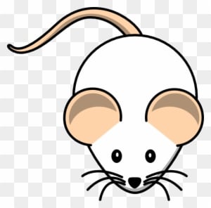 Mouse Drawing Easy - Transparent PNG Free Download