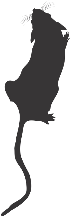 Mice On The Rise Â€“ The Journal Rewired - Mouse Silhouette Png - Transparent PNG Free Download