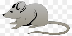Mice Clipart Mouse Animal - Mouse Png Clip Art - Transparent PNG Free Download
