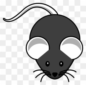 Whiskers Clipart Little Mouse - Mouse Drawing Easy - Transparent PNG Free Download