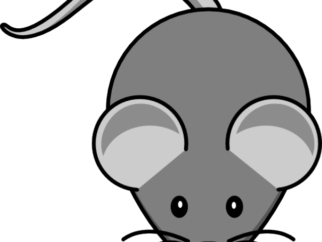 Cartoon Picture Of A Mouse - Mouse Clip Art - Transparent PNG Free Download