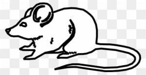 Outline Images Of Mouse - Transparent PNG Free Download