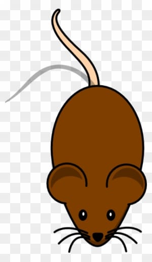 Small Animal Cliparts - Mouse Clip Art - Transparent PNG Free Download