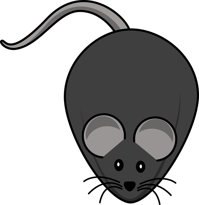 Computer Mouse Cartoon 21, - Fat Mouse Clipart - Transparent PNG Free Download