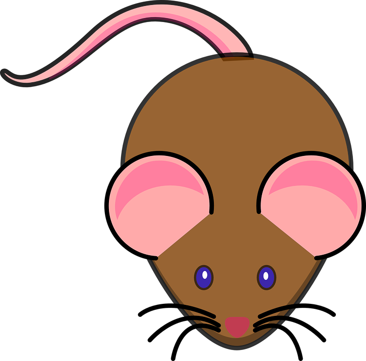 Mice Cartoon Cliparts - Animated Picture Of A Mouse - Transparent PNG Free Download