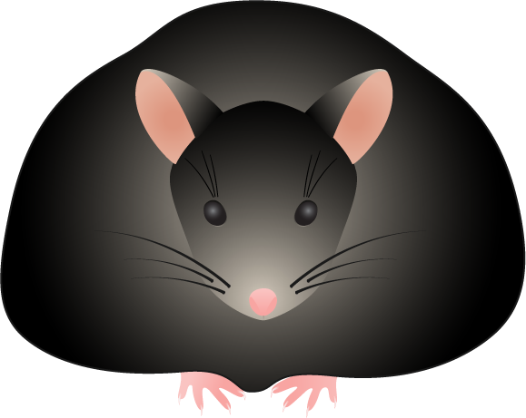 Clip Art - Fat Mouse Clip Art - Transparent PNG Free Download