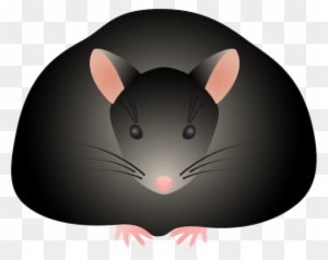 Clip Art - Fat Mouse Clip Art - Transparent PNG Free Download