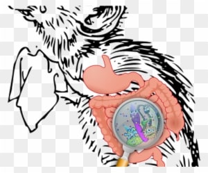 Early-life Stress Goes From Brain To Gut To Microbiota - Sad Mouse Cartoon - Transparent PNG Free Download