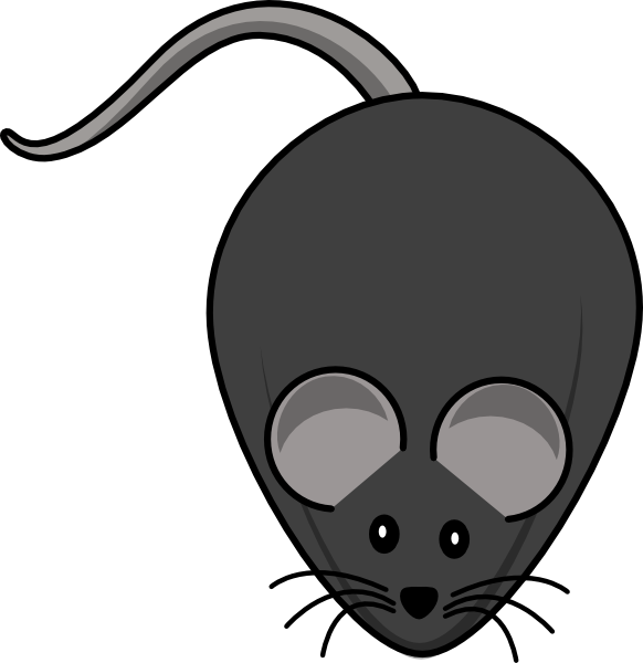 Fat Mouse Clipart - Transparent PNG Free Download