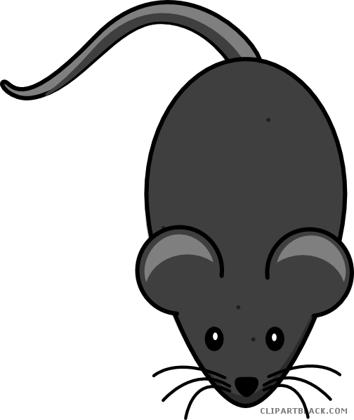 Black Mouse Animal Free Black White Clipart Images - Cartoon Mouse Tail Png - Transparent PNG Free Download