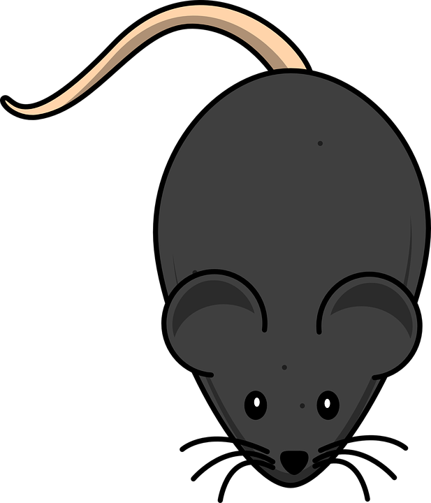 Cute Mouse Clipart - Mouse Clip Art - Transparent PNG Free Download