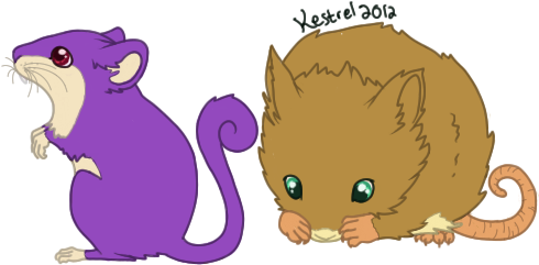 The Mouse Pokemon By Snowykestrel - Pokemon Looks Like A Mouse - Transparent PNG Free Download