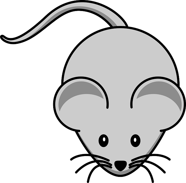Whiskers Mouse, Simple, Cartoon, Tail, Rodent, Whiskers - Cartoon Of Mouse - Transparent PNG Free Download
