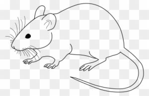 Mice Clipart Black N White - Mouse Black And White - Transparent PNG Free Download