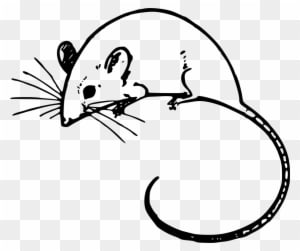 Mouse Clipart Black And White - Mouse Clipart Transparent - Transparent PNG Free Download