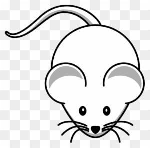 Cute Rat Drawing - Cartoon Mouse - Transparent PNG Free Download