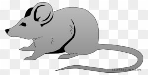 Grey Mouse Clipart - Mouse Clipart Png - Transparent PNG Free Download