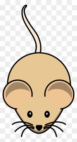 C3h Mouse Short Tail Clip Art At Clker - Mouse Clip Art - Transparent PNG Free Download