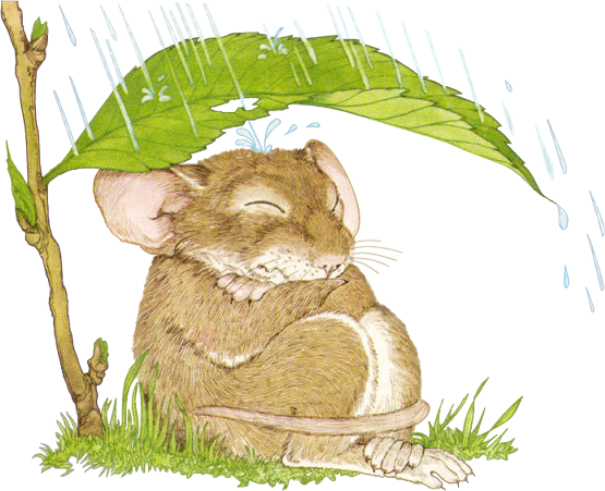 Clip Art - Mouse In Rain - Transparent PNG Free Download