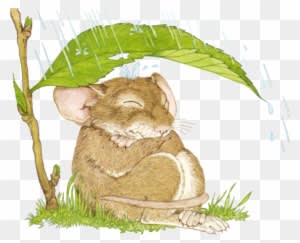 Clip Art - Mouse In Rain - Transparent PNG Free Download