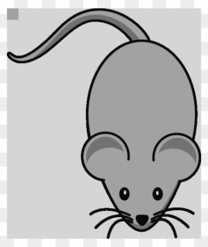 Mouse Clipart Transparent Computer Mouse Clipart Images - Cartoon Mouse Shower Curtain - Transparent PNG Free Download