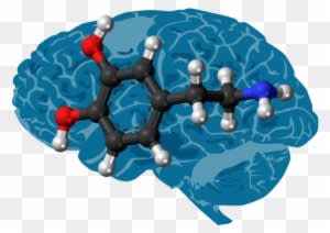 Researchers Have Created An Implantable Chip That Detects - Dopamine Content Brain Mouse - Transparent PNG Free Download