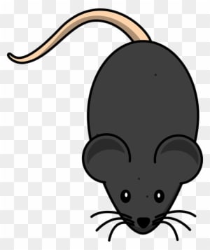 Laboratory Mouse Is White - Mouse Clip Art - Transparent PNG Free Download