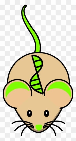 Transgenic Mouse Clip Art At Clker - Mouse Clip Art - Transparent PNG Free Download