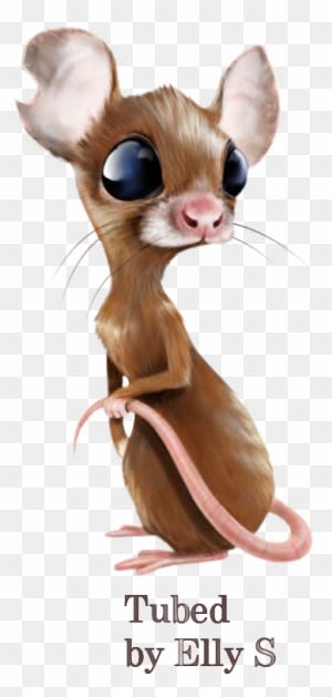 Alles Voor En Over Psp - Mouse - Transparent PNG Free Download