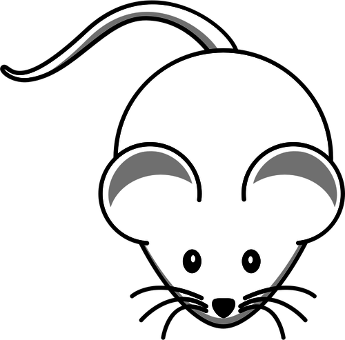 Vector Clip Art Of Cartoon White Mouse With Long Mustache - Cartoon Mouse - Transparent PNG Free Download