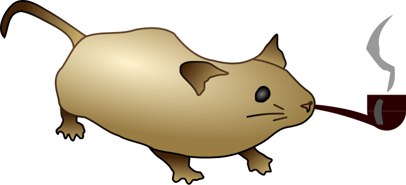 320 × 146 Pixels - Mouse Common Creative Zero - Transparent PNG Free Download