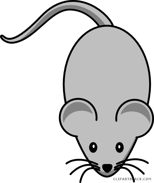 Grey Mouse Animal Free Black White Clipart Images Clipartblack - Mouse Clipart - Transparent PNG Free Download