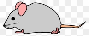 Free Pictures Images Found Cute Mouse Rat - Transparent Mouse Clipart - Transparent PNG Free Download
