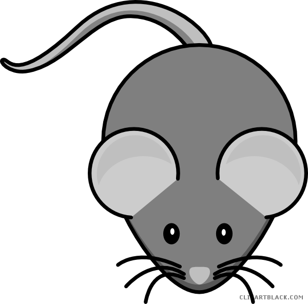 Mouse Clipart Animal - Cute Mouse Clip Art - Transparent PNG Free Download