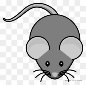Mouse Clipart Animal - Cute Mouse Clip Art - Transparent PNG Free Download